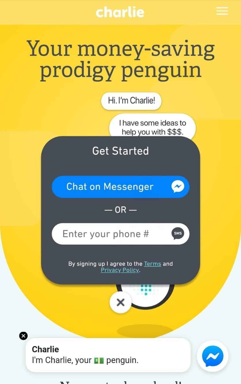 chat with charlie the penguin
