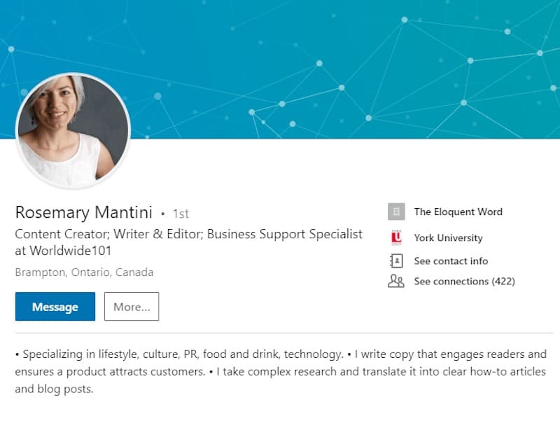 Example of a great virtual assistant's linkedin profile