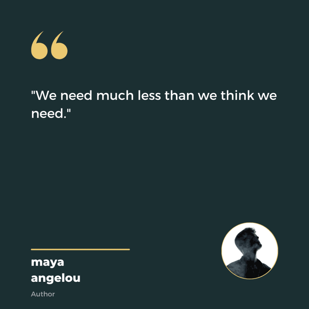 We need much less than we think we need - Maya Angelou
