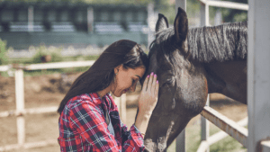 5 Crucial Tax Tips For Horse Owners