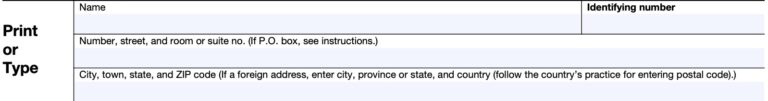 IRS Form 7004 Instructions - Tax Extensions for Business Returns