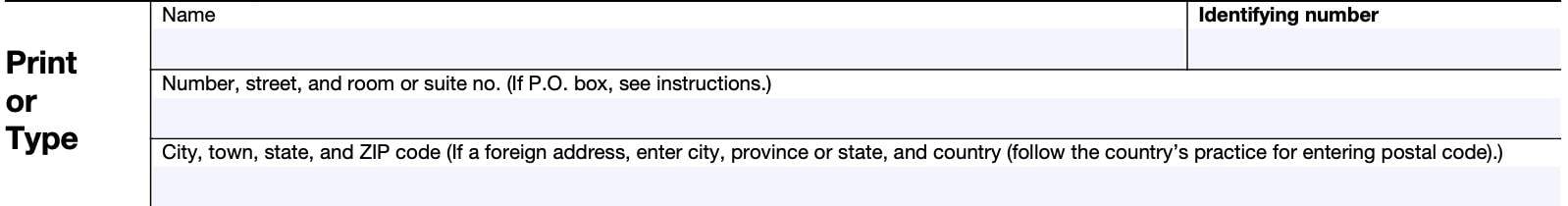 irs form 7004, taxpayer information