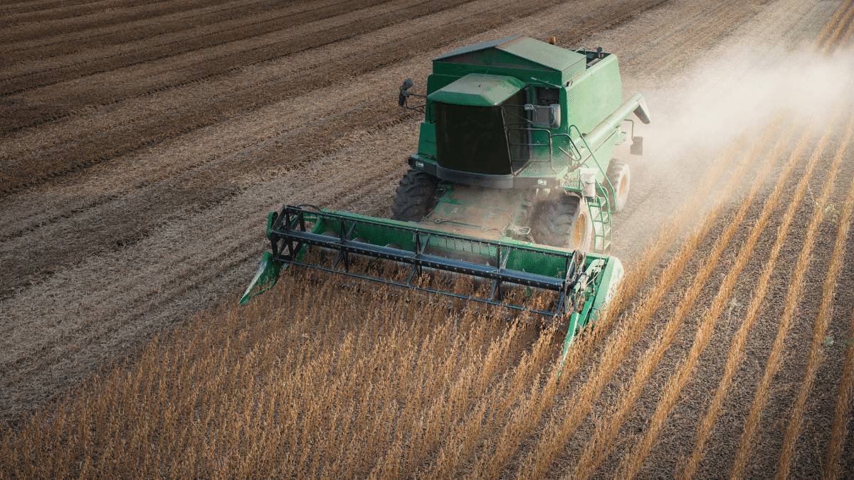 tax loss harvesting