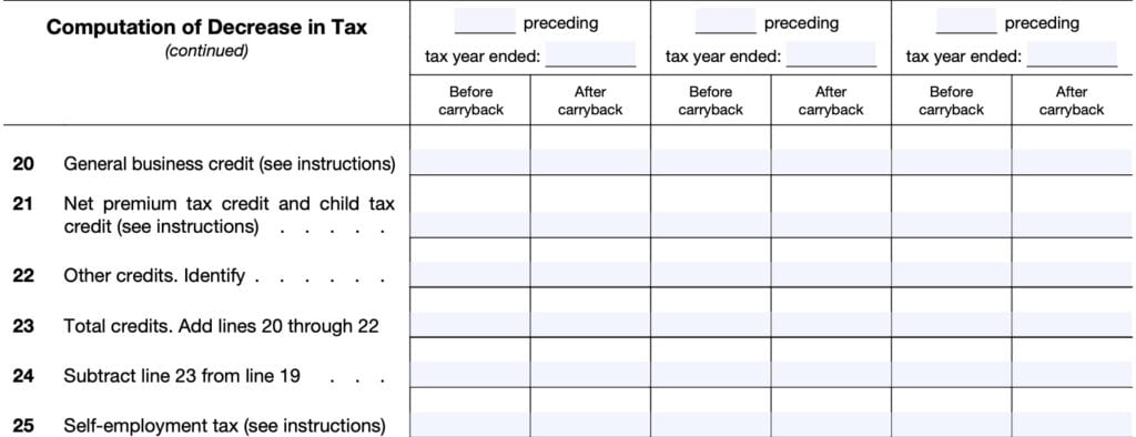 IRS Form 1045 Instructions - Applying For A Tentative Refund