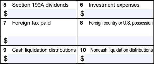irs form 1099-div, boxes 5 through 10