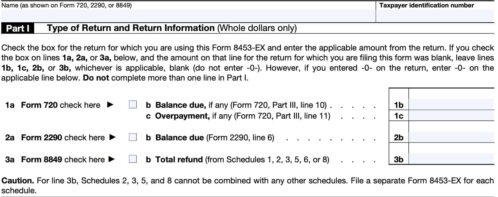 irs form 8453-ex part i, type of return and return information